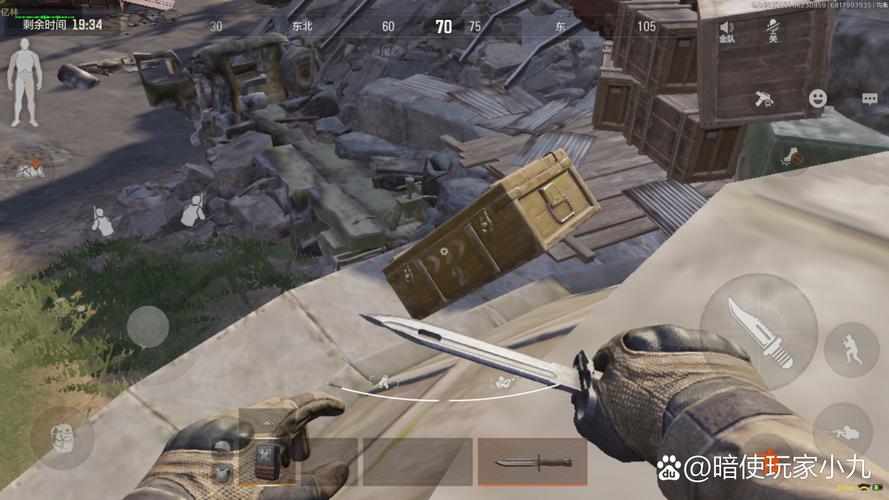 常吃的鱼有哪些